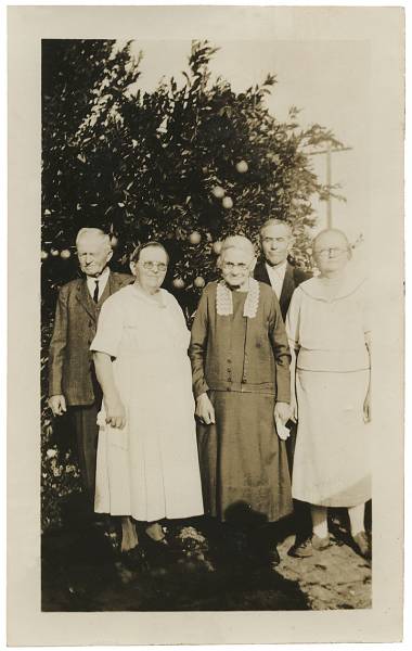 Foto fra Jenses have. Foto fra Jenses have.