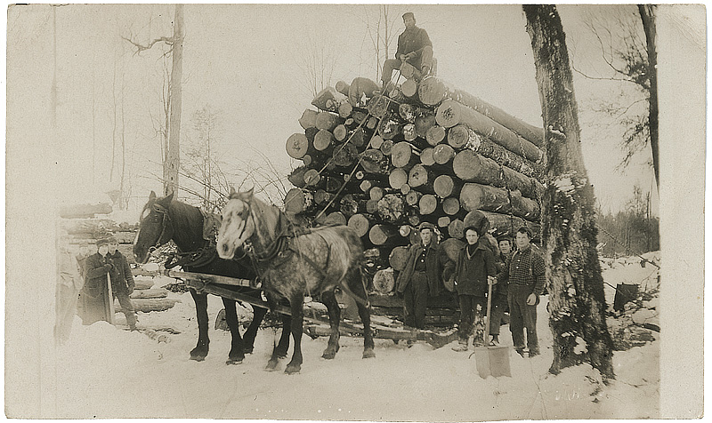 Skovarbejde i Brantwood Ca 1907. Skovarbejde i Brantwood Ca 1907.