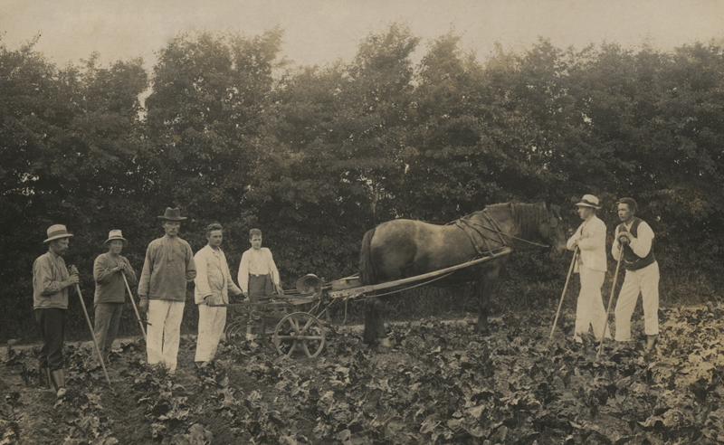 Peter Langeland, længst mod venstre, 10/7- 1911 Peter Langeland, længst mod venstre, 10/7- 1911