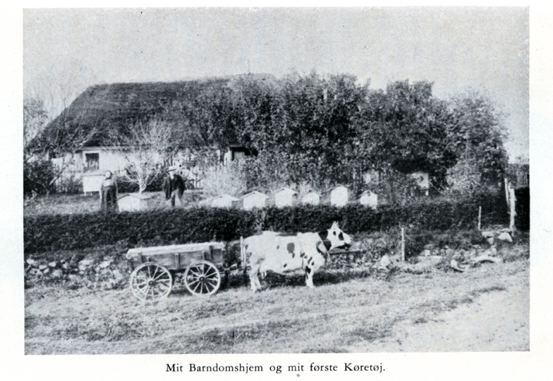 Hjemmet i Skindbjerg ca. 1910 Hjemmet i Skindbjerg ca. 1910