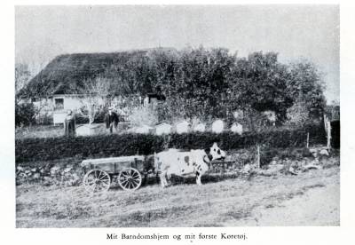 Hjemmet i Skindbjerg ca. 1910