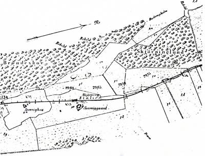 Skørping Station ca. 1885